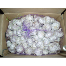 Carton Packing Fresh Normal White Garlic (4.5cm and up)